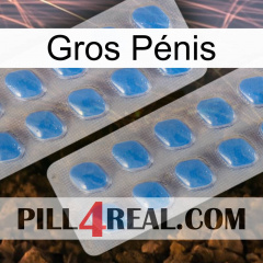 Gros Pénis 23